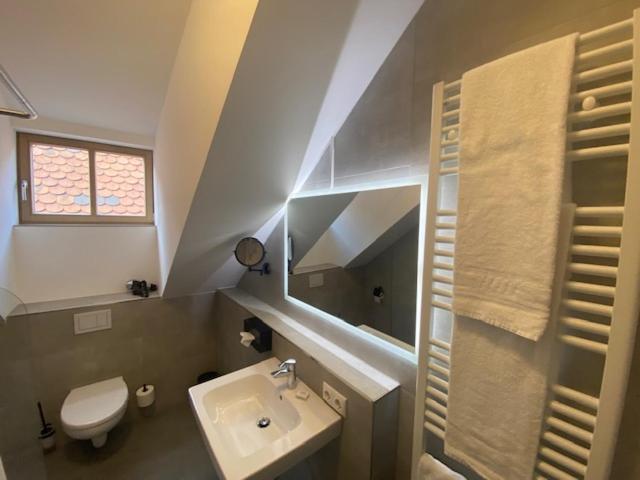 Altstadthotel Alt & Jung Regensburg Luaran gambar